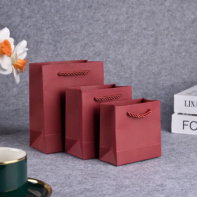 Colorful Gift Paper Bags in Various Sizes (1)