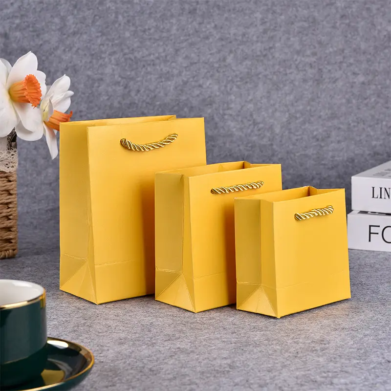 Colorful Gift Paper Bags in Various Sizes (10)