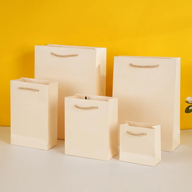 Colorful Gift Paper Bags in Various Sizes (2)