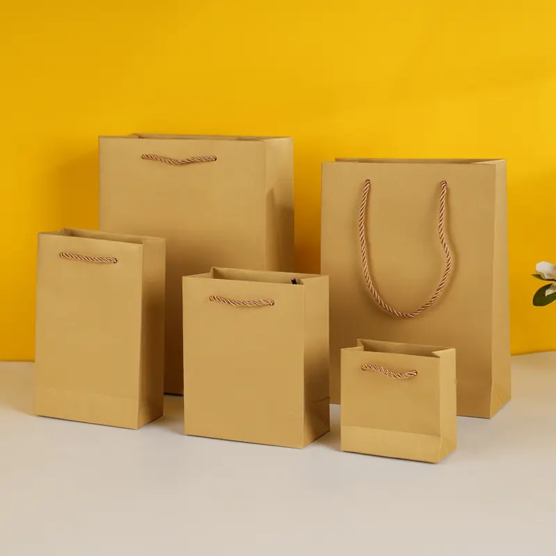 Colorful Gift Paper Bags in Various Sizes (4)