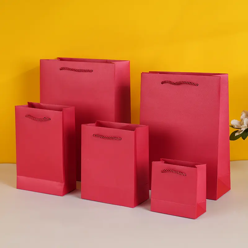 Colorful Gift Paper Bags in Various Sizes (9)