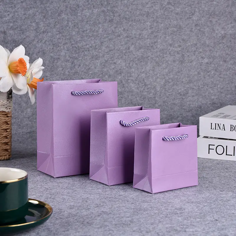 Colorful gift paper bags in different sizes (8)