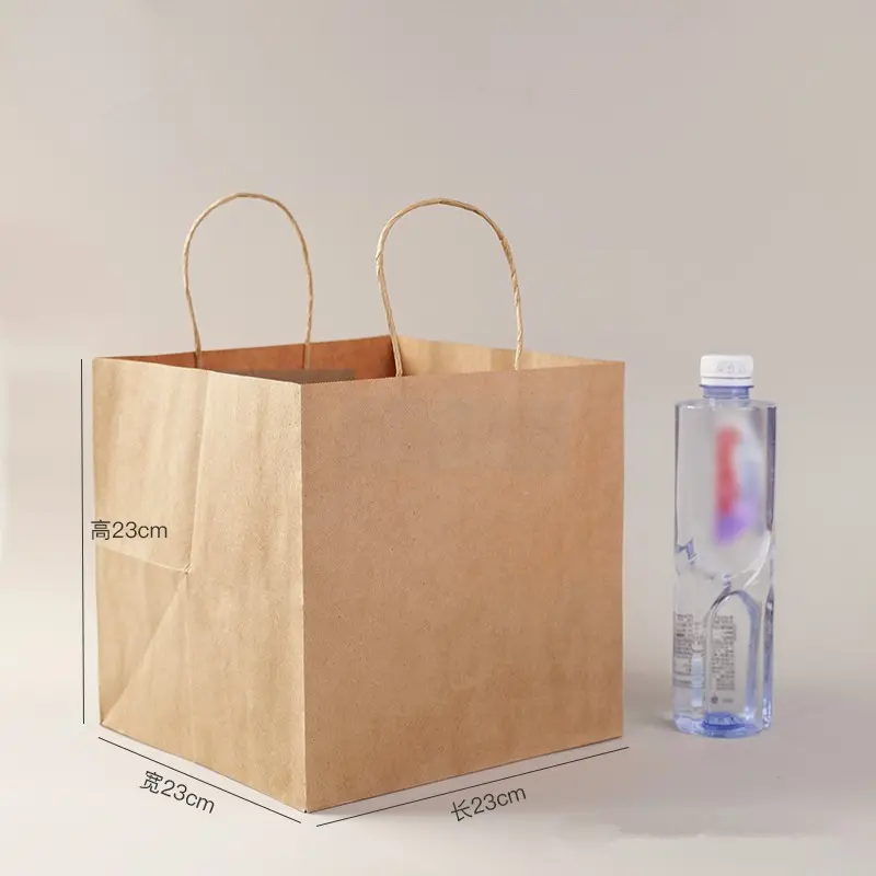 Multipurpose Kraft Paper Gift Bags (6)