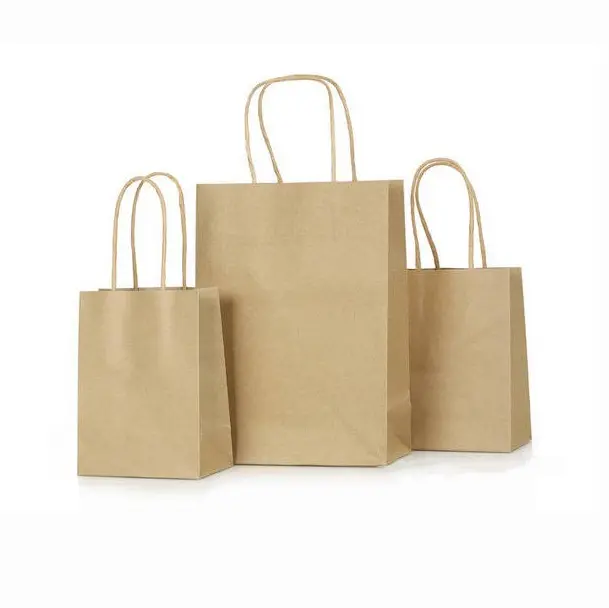 Multipurpose Kraft Paper Gift Bags (7)