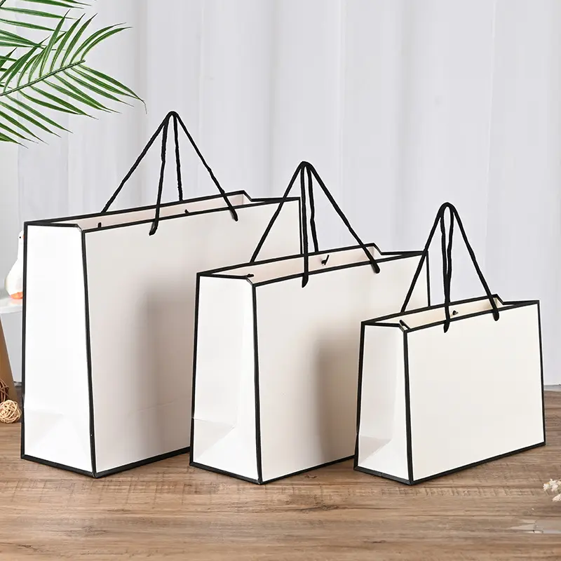 Paper Bag -Bulk Packaging Solutions (10)