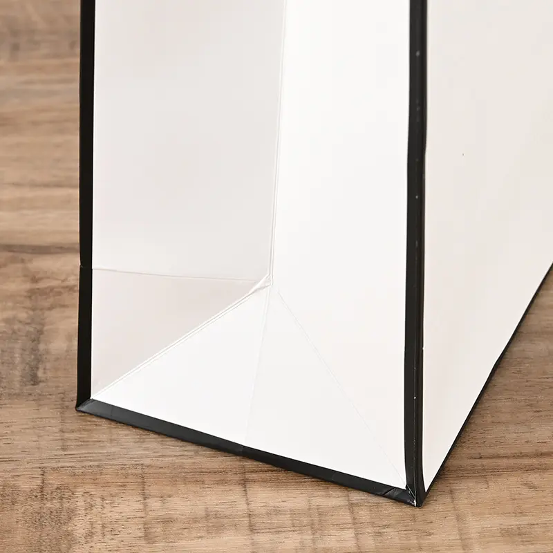 Paper Bag -Bulk Packaging Solutions (2)