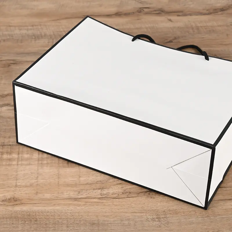 Paper Bag -Bulk Packaging Solutions (8)