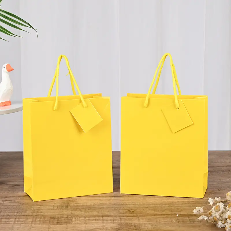 Yellow Paper Bag for Retail Packaging (4)