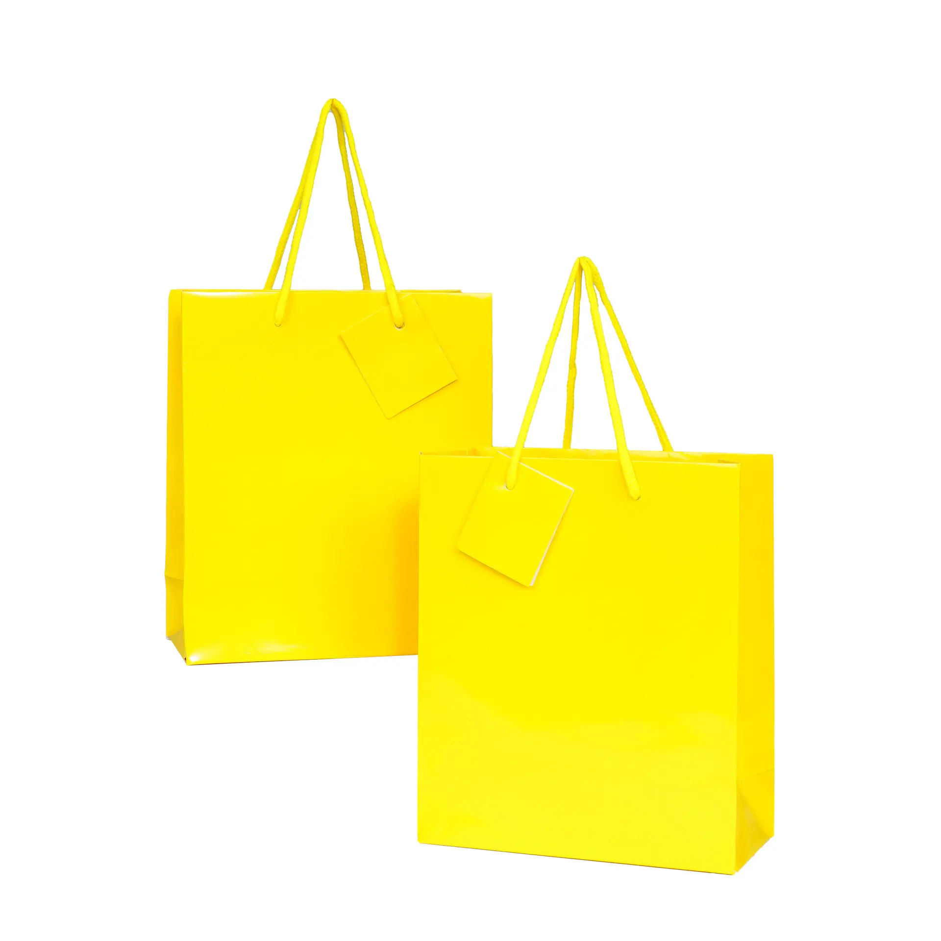 Yellow Paper Bag for Retail Packaging (6)