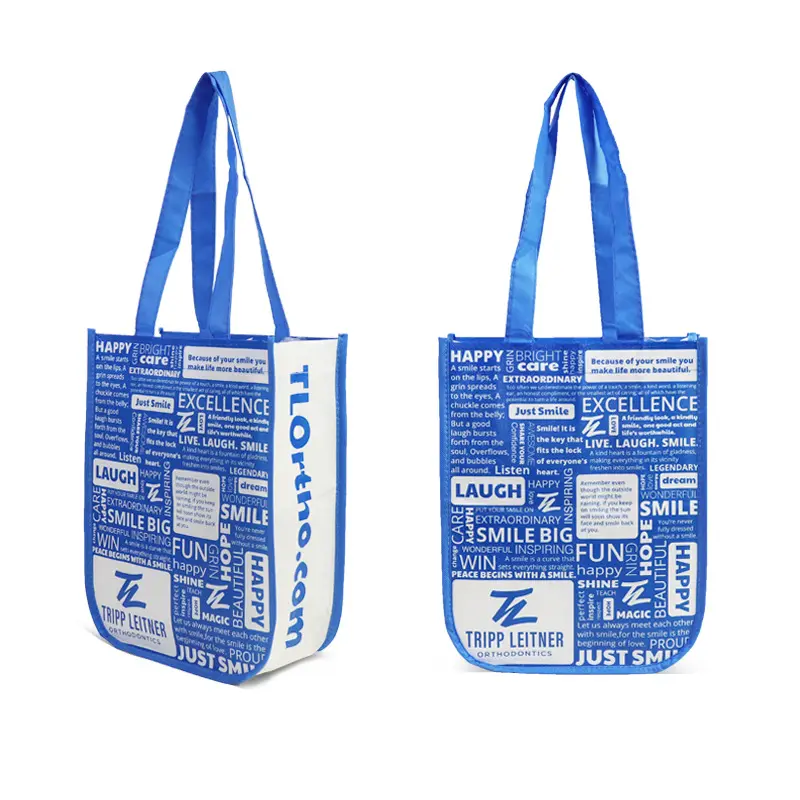 Matte Laminated Gift Bag (1)
