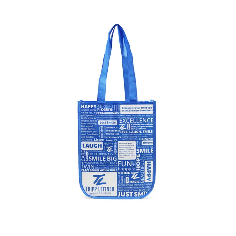 Matte Laminated Gift Bag (10)