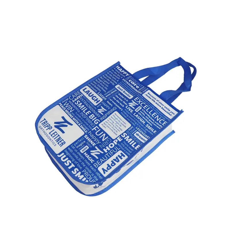 Matte Laminated Gift Bag (4)