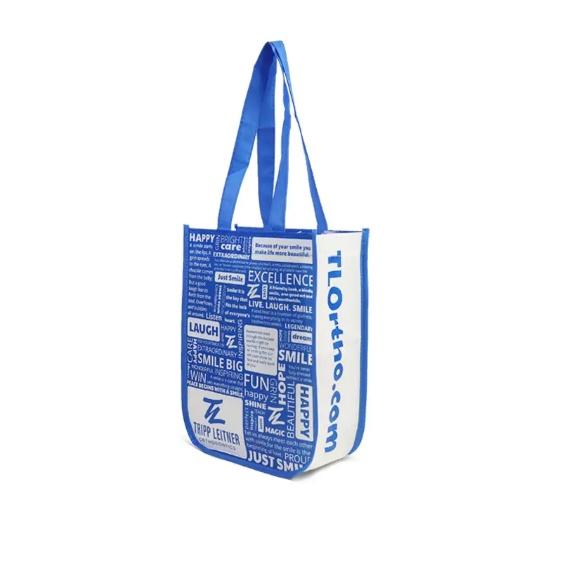Matte Laminated Gift Bag (5)