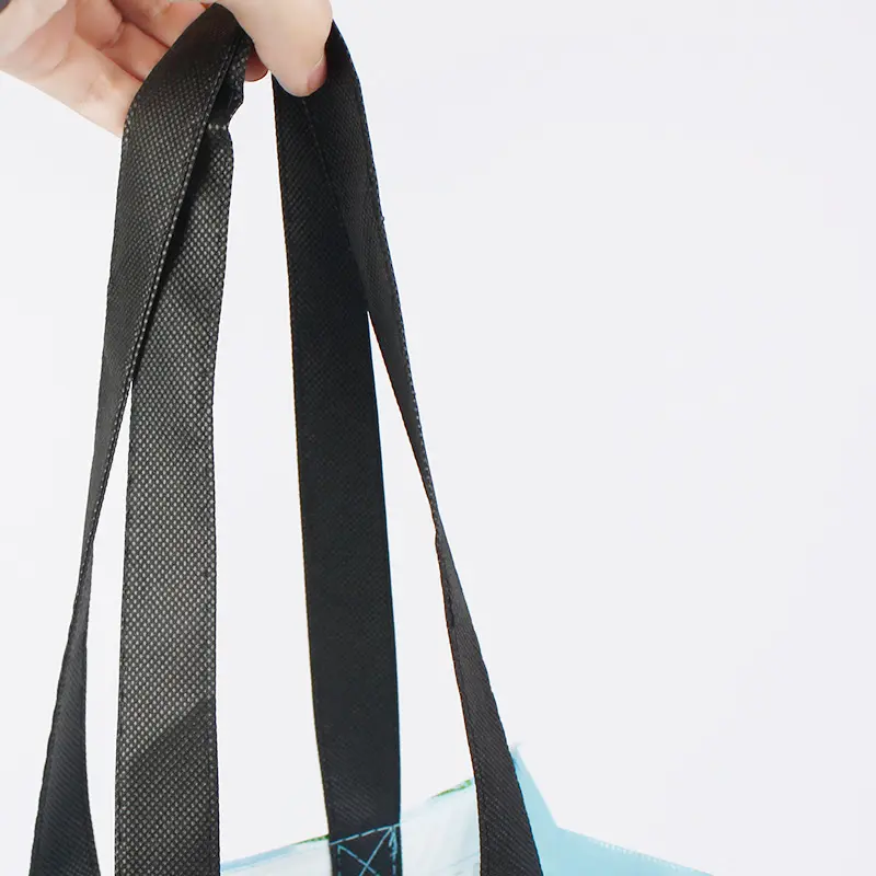 Matte Laminated Gift Bag (8)