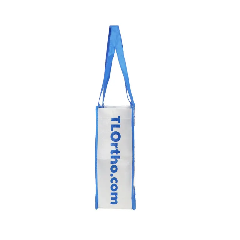 Matte Laminated Gift Bag (9)